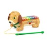 
      Zoo Jamz Doggy Xylophone
     - view 1